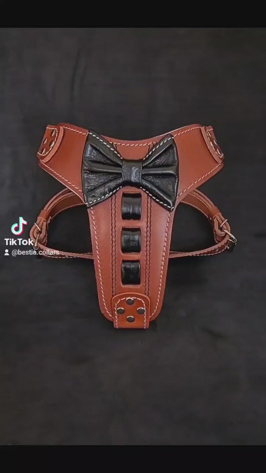 Black ''Bowtie'' Leather Dog Harness